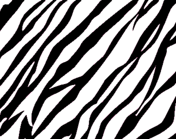 Free Printable Zebra Print