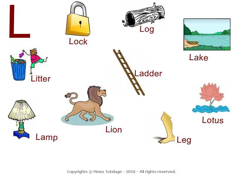 Words That Start With Z