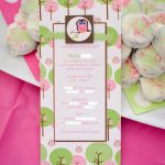 Baby Girl Owl Invitations