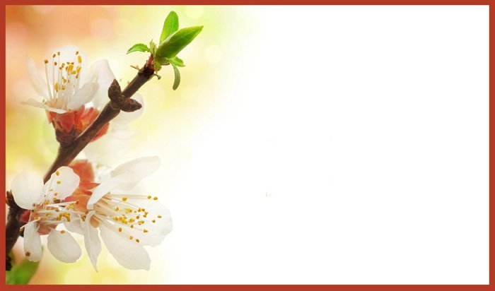 Wedding Invitation Background Templates Free