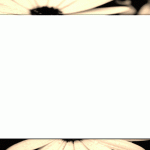 Word Document Background Templates