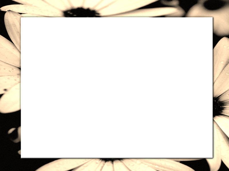 Word Document Background Templates