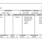 Free Create Pay Stub Templates