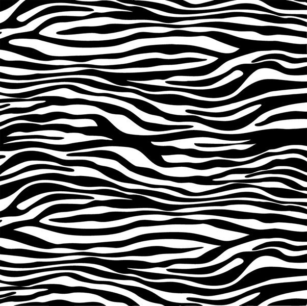 Free Printable Zebra Print Pattern