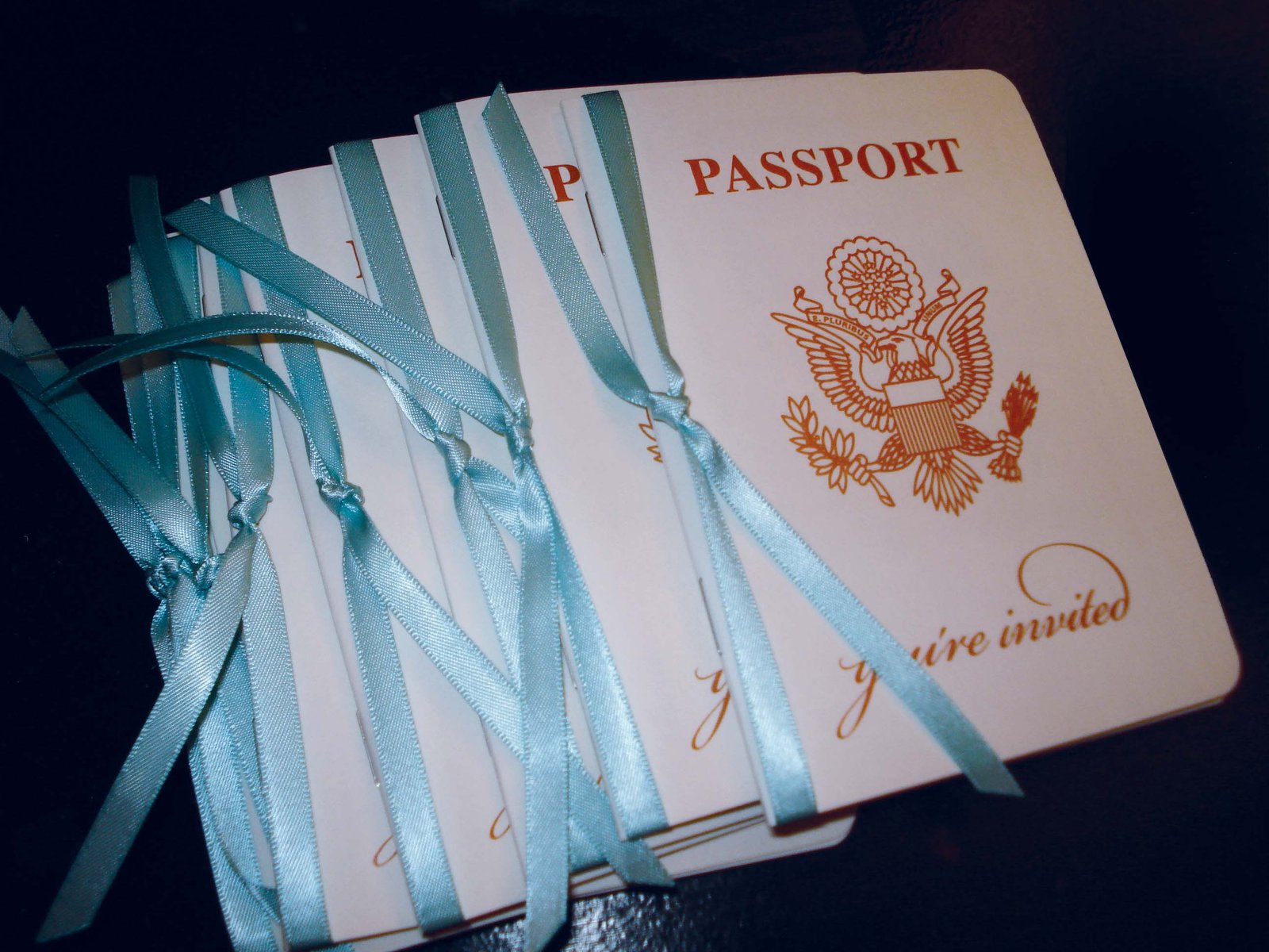 Passport Wedding Invitation Ideas