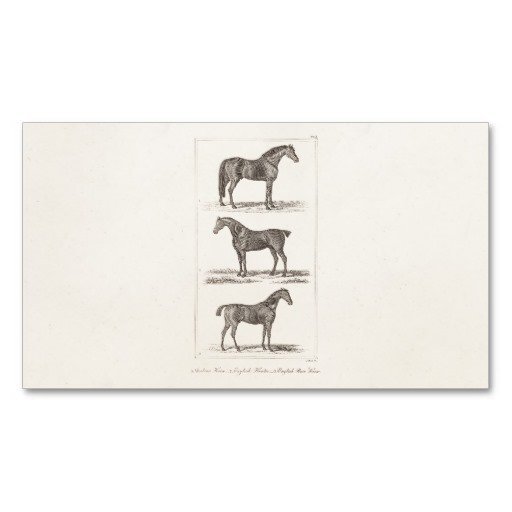 Race Horse Company Invitations