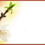 Wedding Invitation Backgrounds
