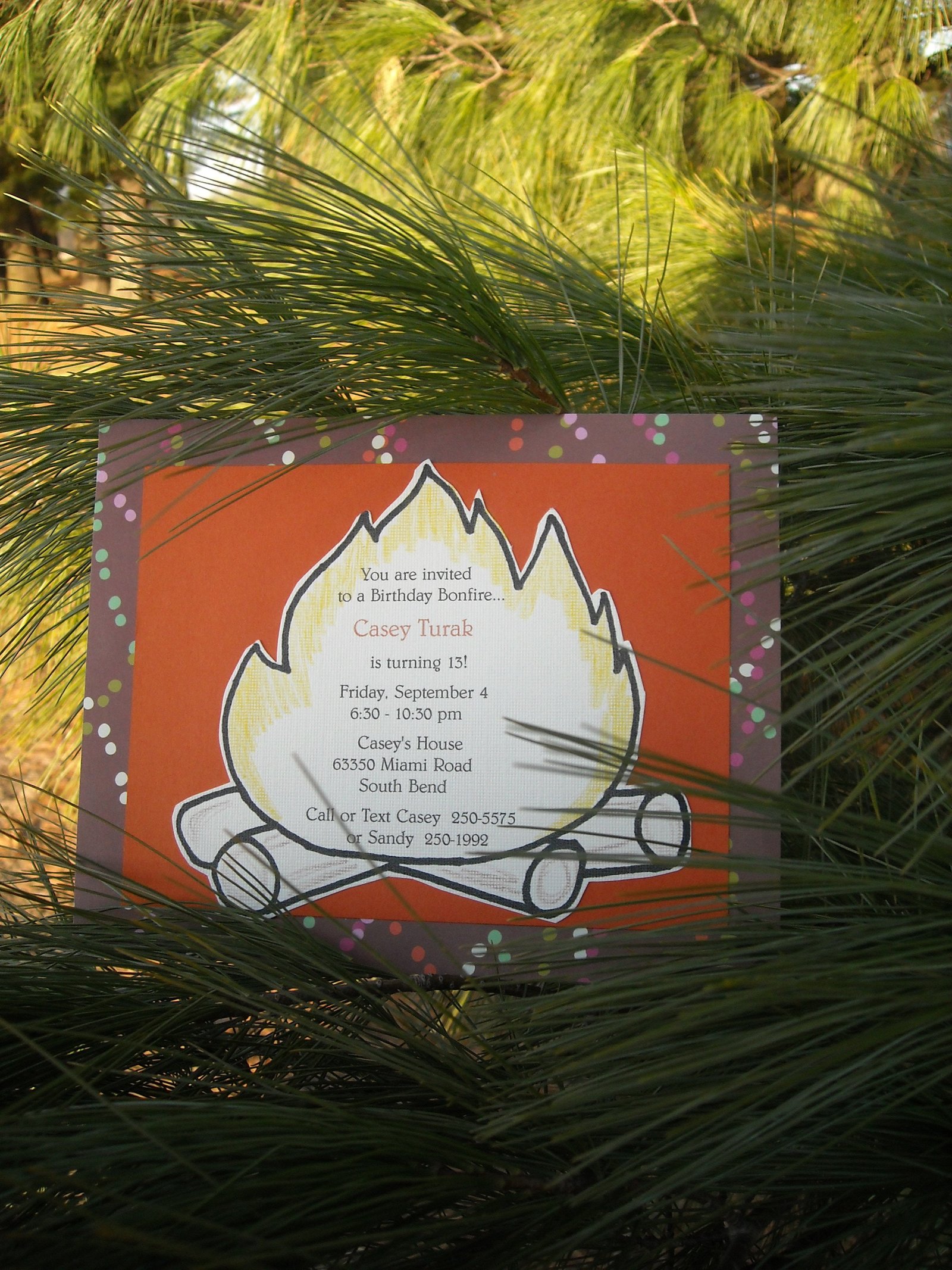 Bonfire Invitation Sayings