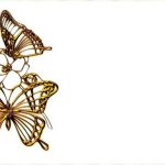 Elegant Victorian Invitations