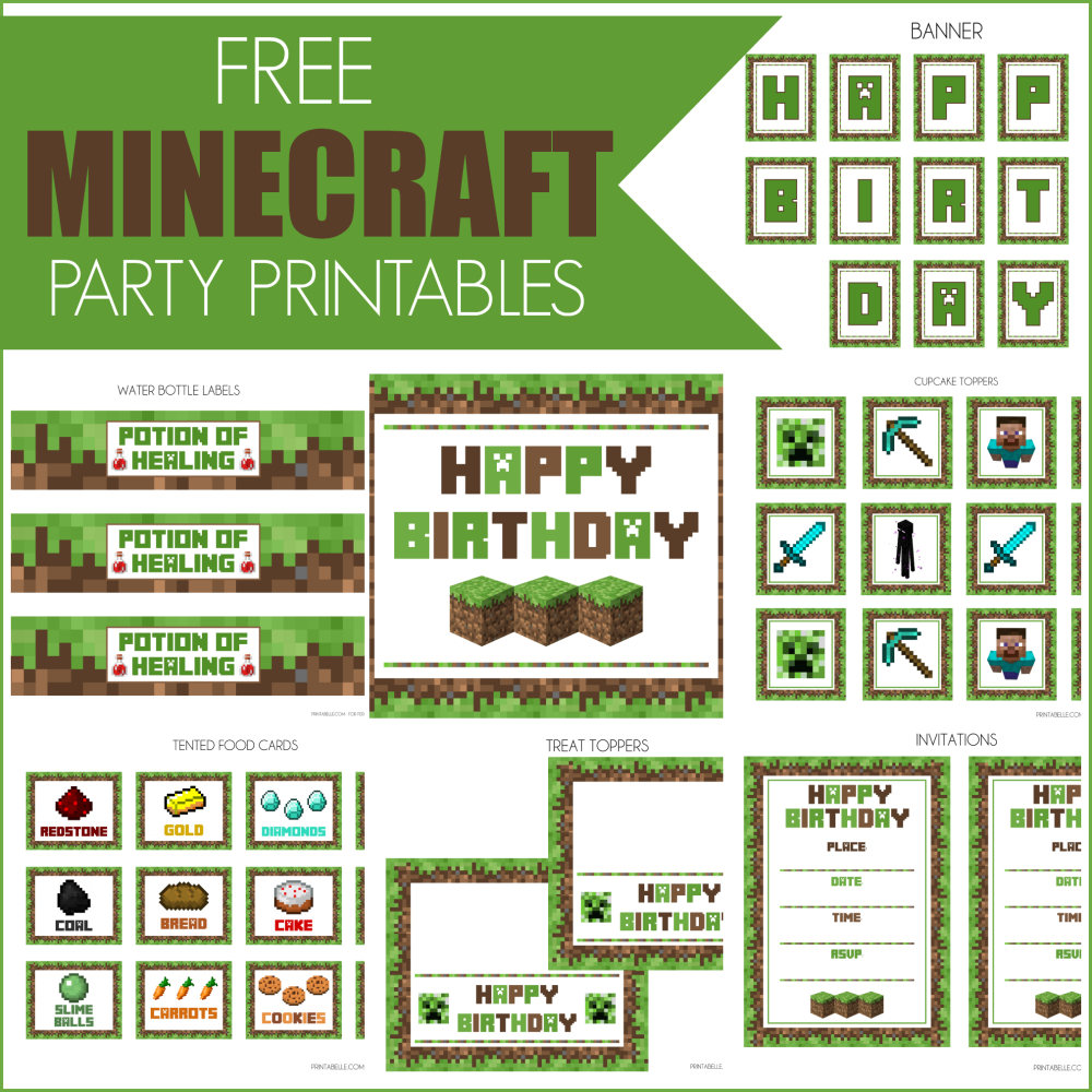 Minecraft Birthday Party Ideas Pinterest