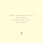 Small Simple Wedding Invitations