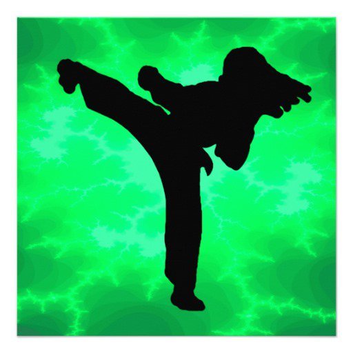 Taekwondo Birthday Party Invitations